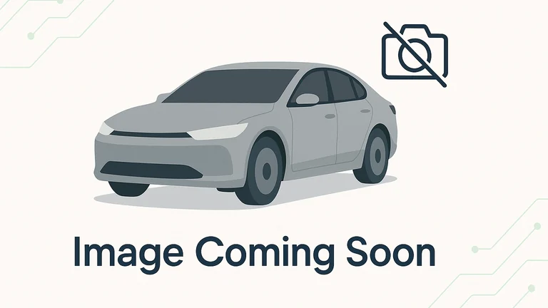 Volt 2019